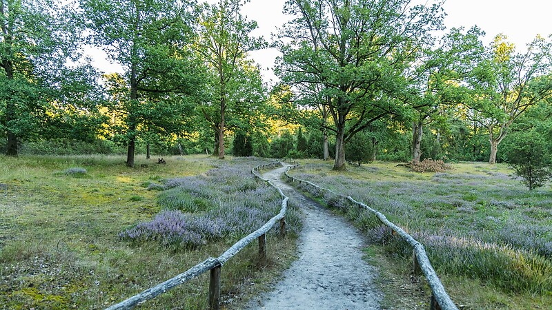 Zemljevid