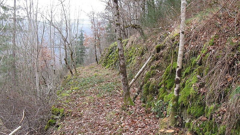 Zemljevid