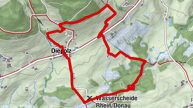Kuhnigundenweg experience in Immenstadt-Diepolz