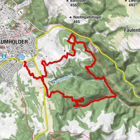 Traumschleife Bärenbachpfad (Dream Loop Bear Creek Trail Baumholder)