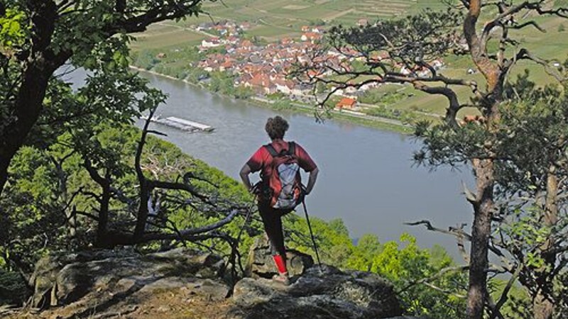 Zemljevid