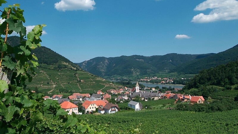 Zemljevid
