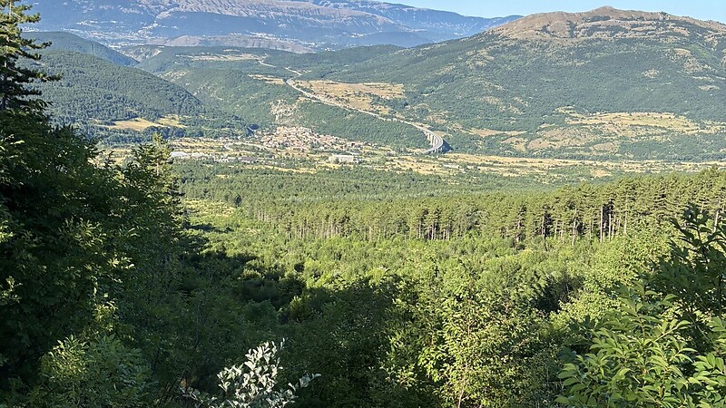 Zemljevid