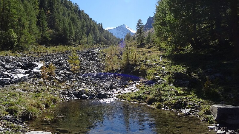 Zemljevid