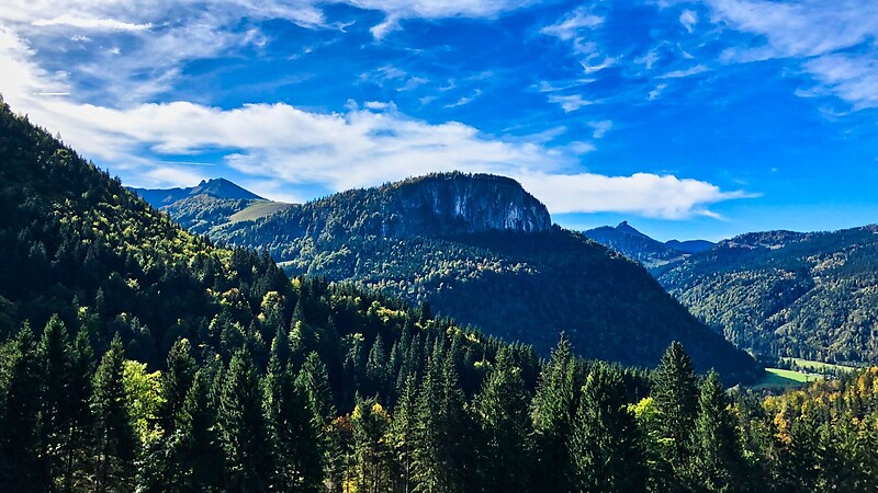 Zemljevid