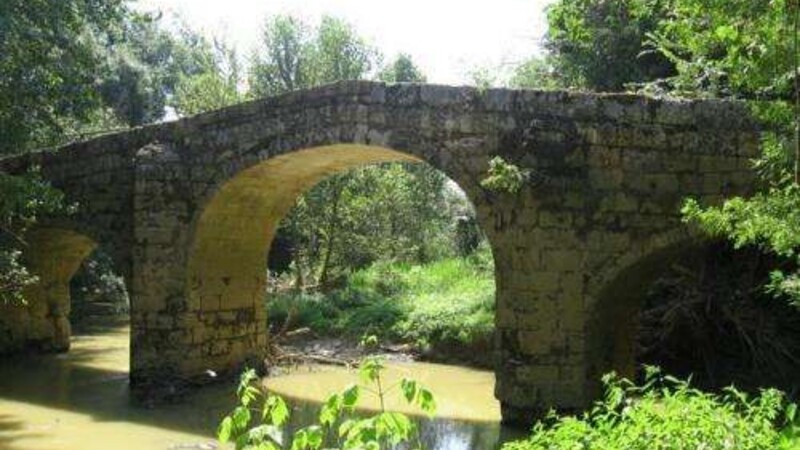 Zemljevid