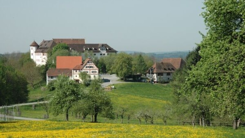 Zemljevid
