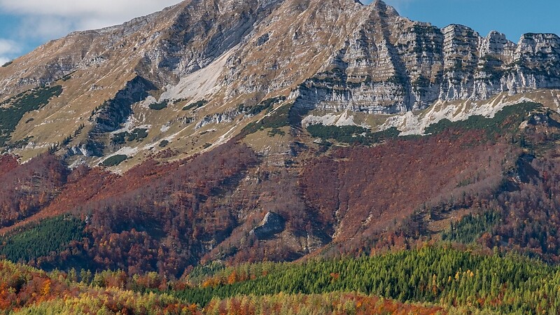 Zemljevid
