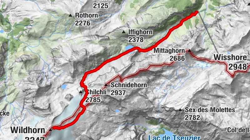 Wildhorn