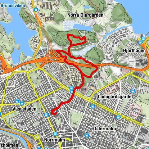 Löprunda Lill-Jansskogen 8km