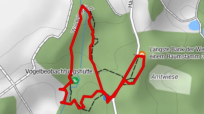 Ellenberg: Waldentdeckerpfad