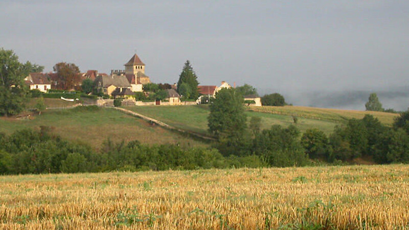 Zemljevid
