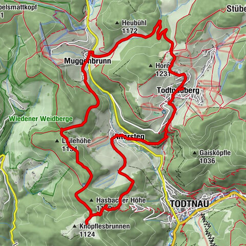 Von Todtnauberg zum Knöpflesbrunnen
