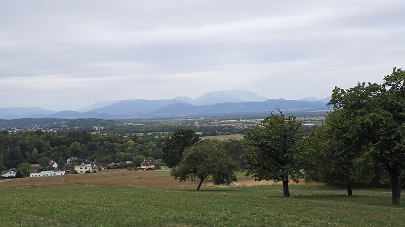 Zemljevid
