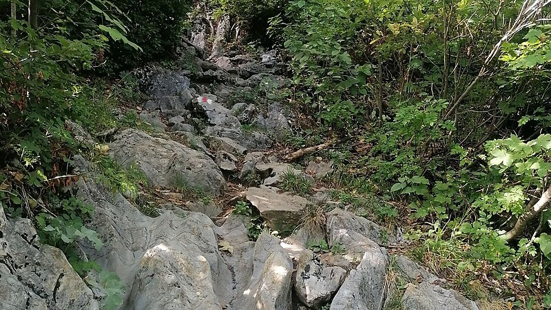Zemljevid