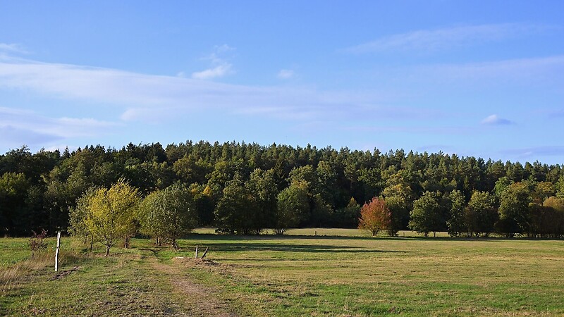 Zemljevid