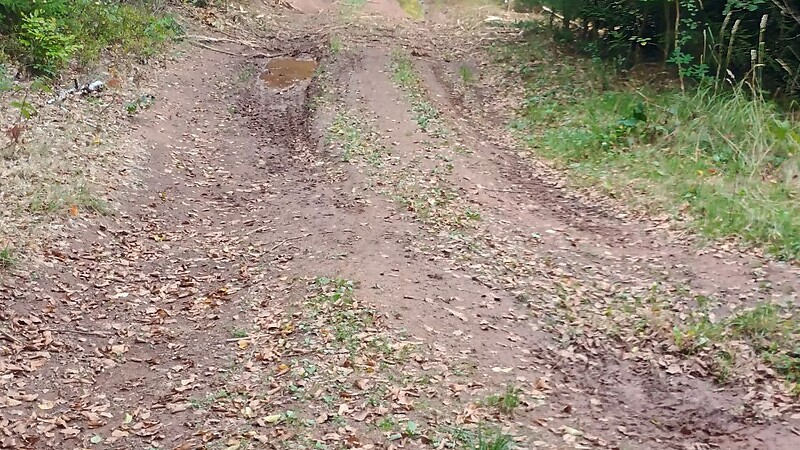 Zemljevid