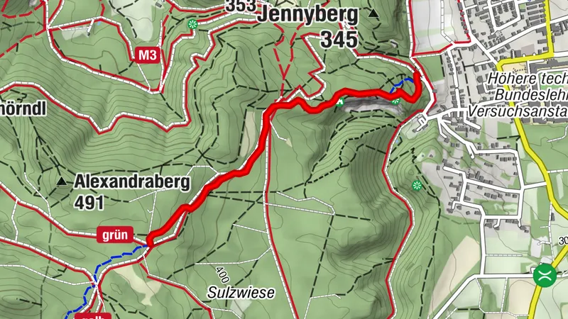 Anninger Trail_mittel