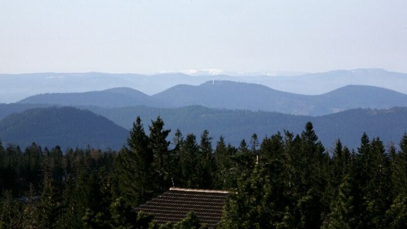 Zemljevid