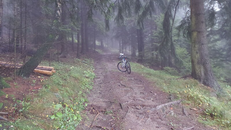 Zemljevid