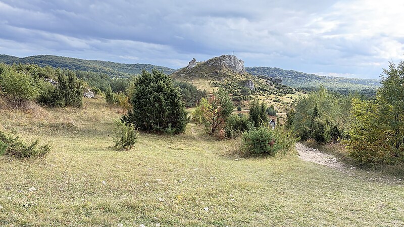 Zemljevid