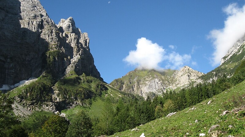 Zemljevid