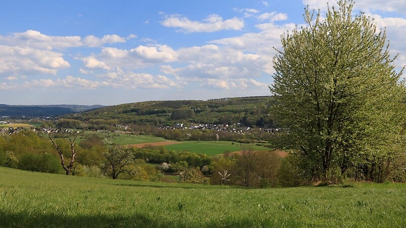 Zemljevid