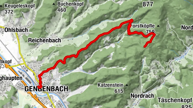 Trekking Schwarzwald Gengenbach - Camp Schnaitberg Eck