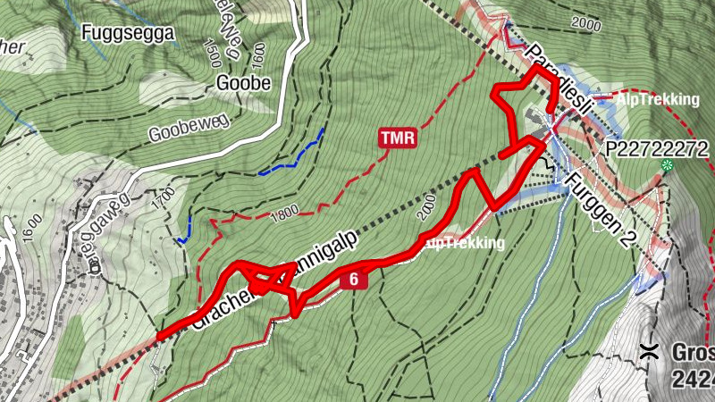 Zemljevid