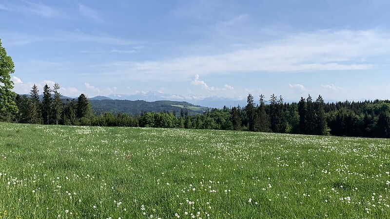 Zemljevid