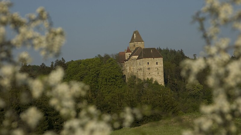 Zemljevid