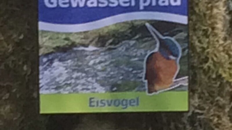 Zemljevid