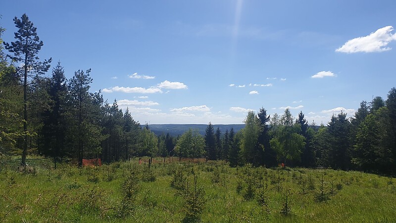 Zemljevid
