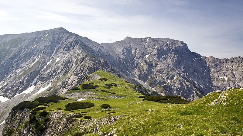 Zemljevid
