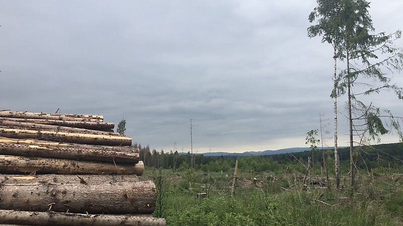 Zemljevid