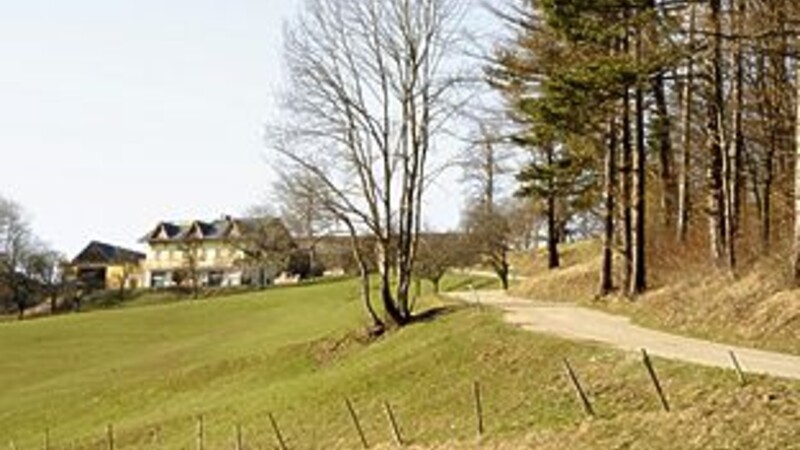 Zemljevid
