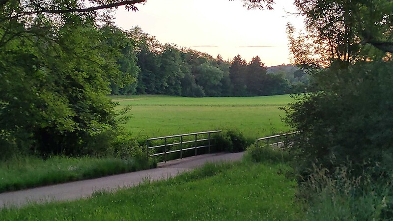 Zemljevid