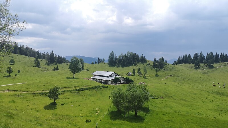 Zemljevid