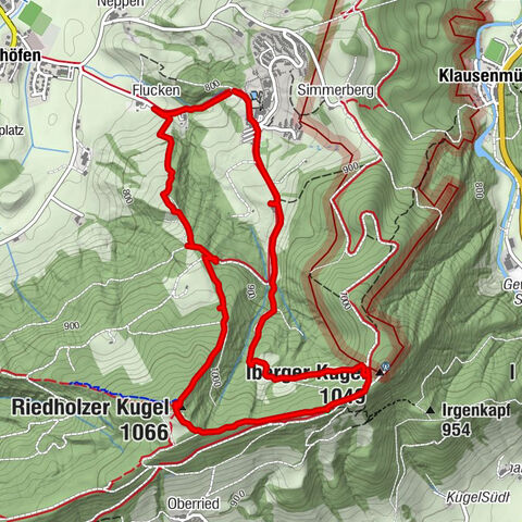 Riedholzer und Iberger Kugel mit Bergwies