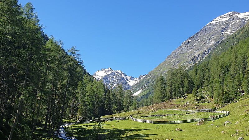 Zemljevid