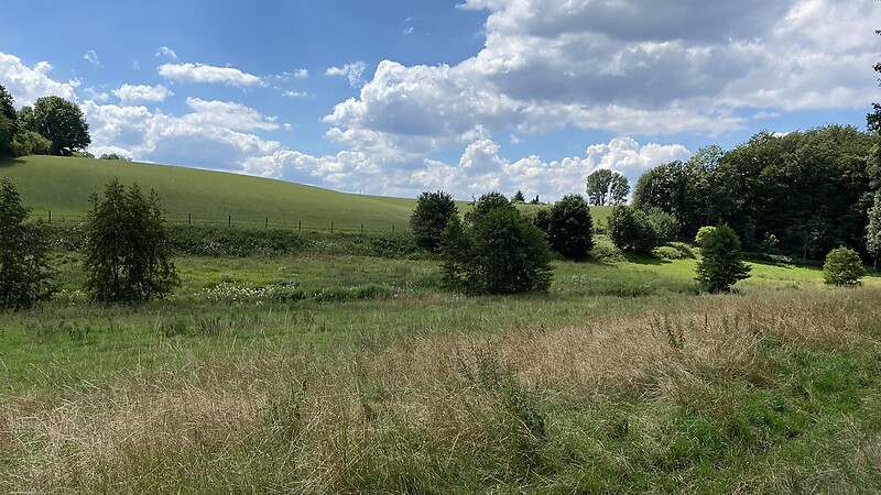 Zemljevid