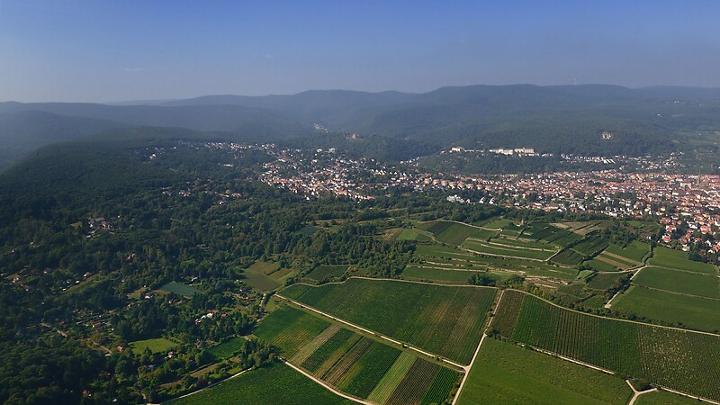 Zemljevid