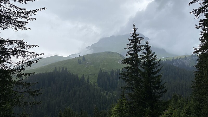 Zemljevid