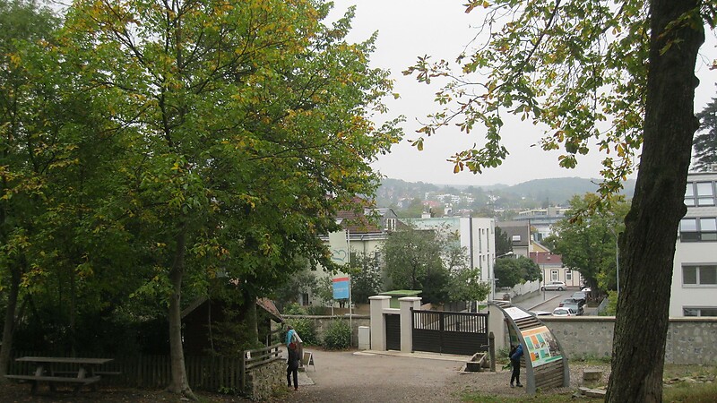 Zemljevid