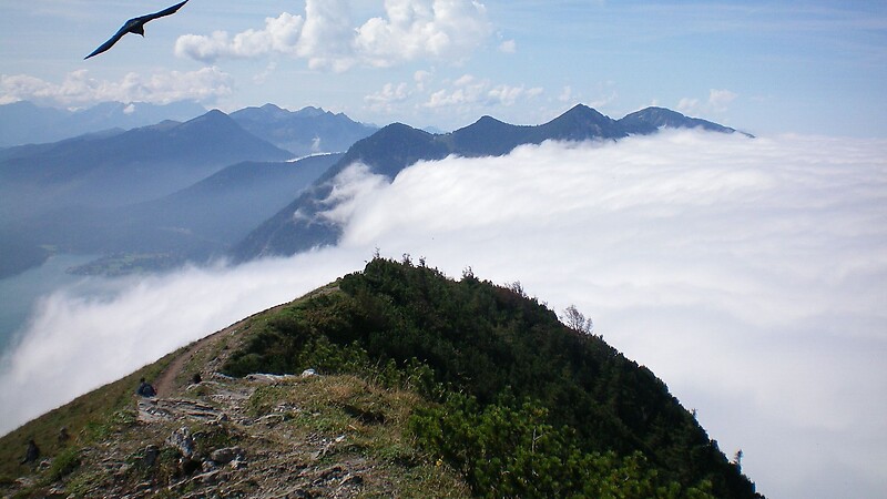 Zemljevid