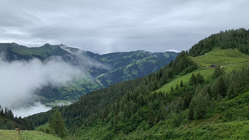 Zemljevid