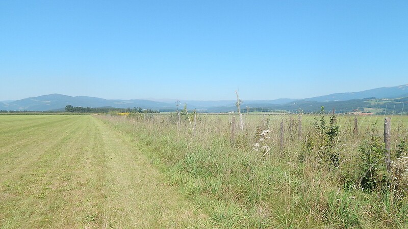 Zemljevid