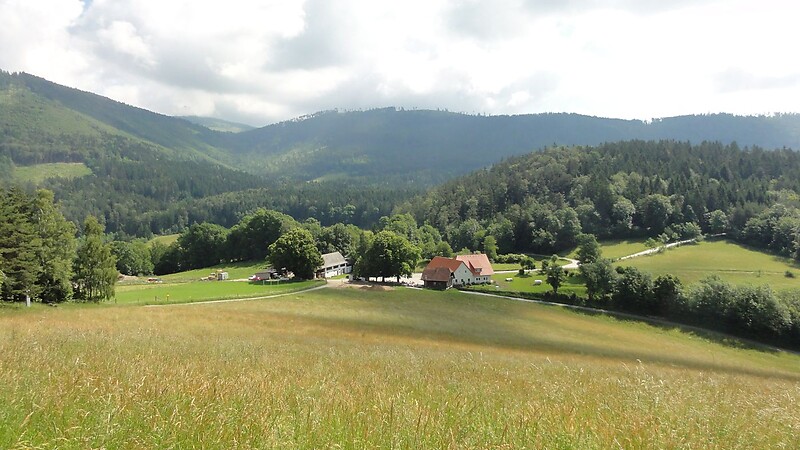 Zemljevid