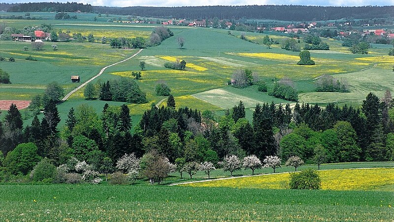 Zemljevid