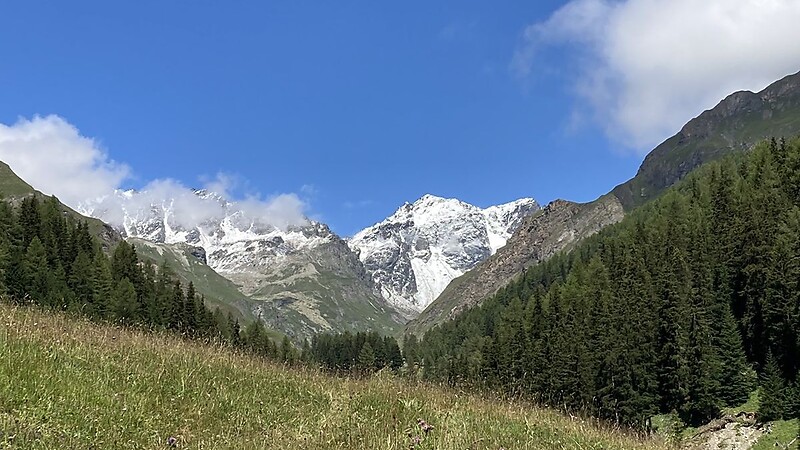 Zemljevid